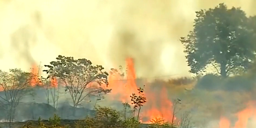 As Brazil Burns, Northern Media Deploy a Strategy of Deflection