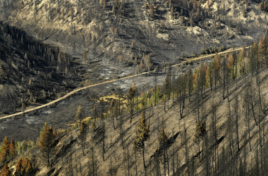 Climate Change Ravaged the West With Heat and Drought Last Year; Many Fear 2021 Will Be Worse